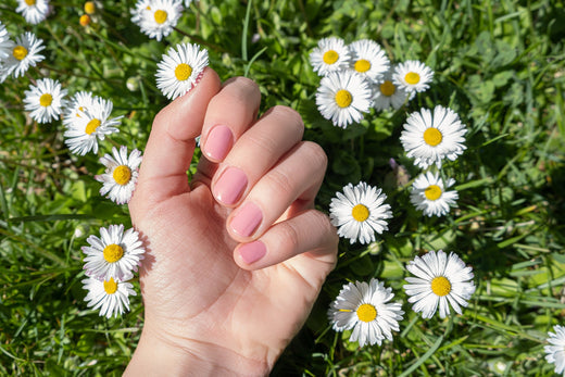 A hand with pink coloured nails resting on grass with daisies.